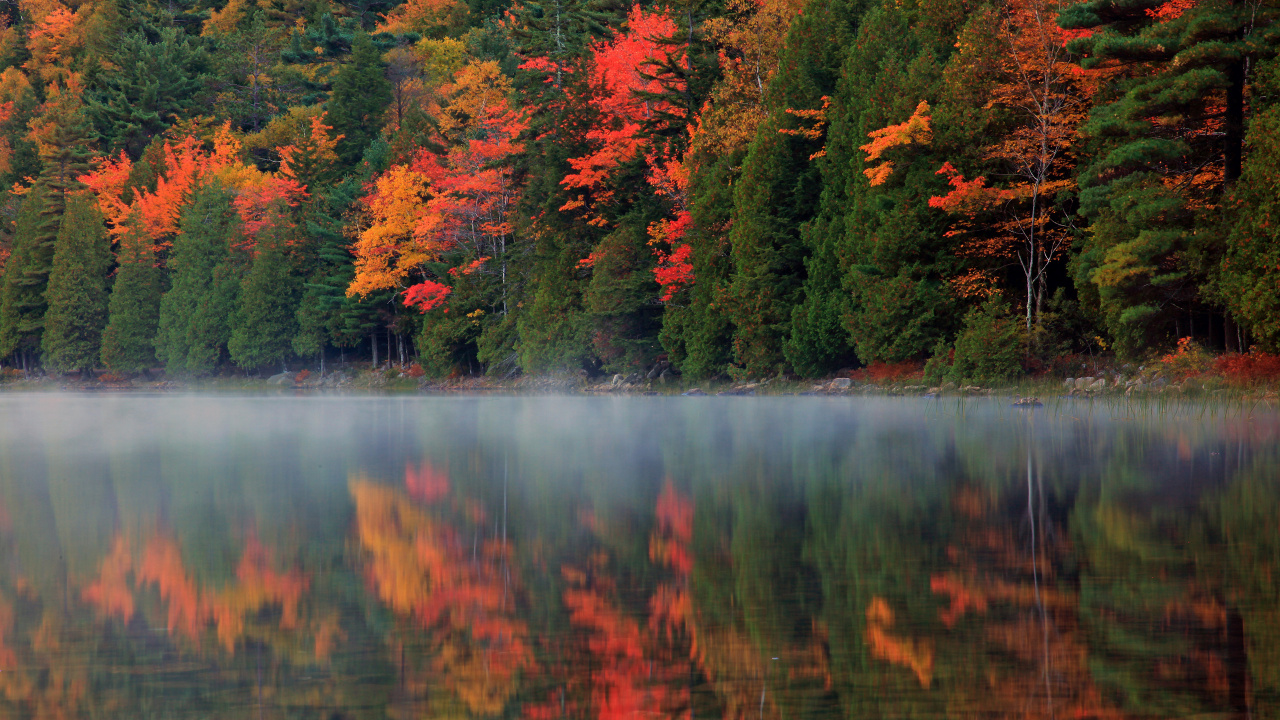 Arbres Verts et Rouges au Bord du Lac Pendant la Journée. Wallpaper in 1280x720 Resolution