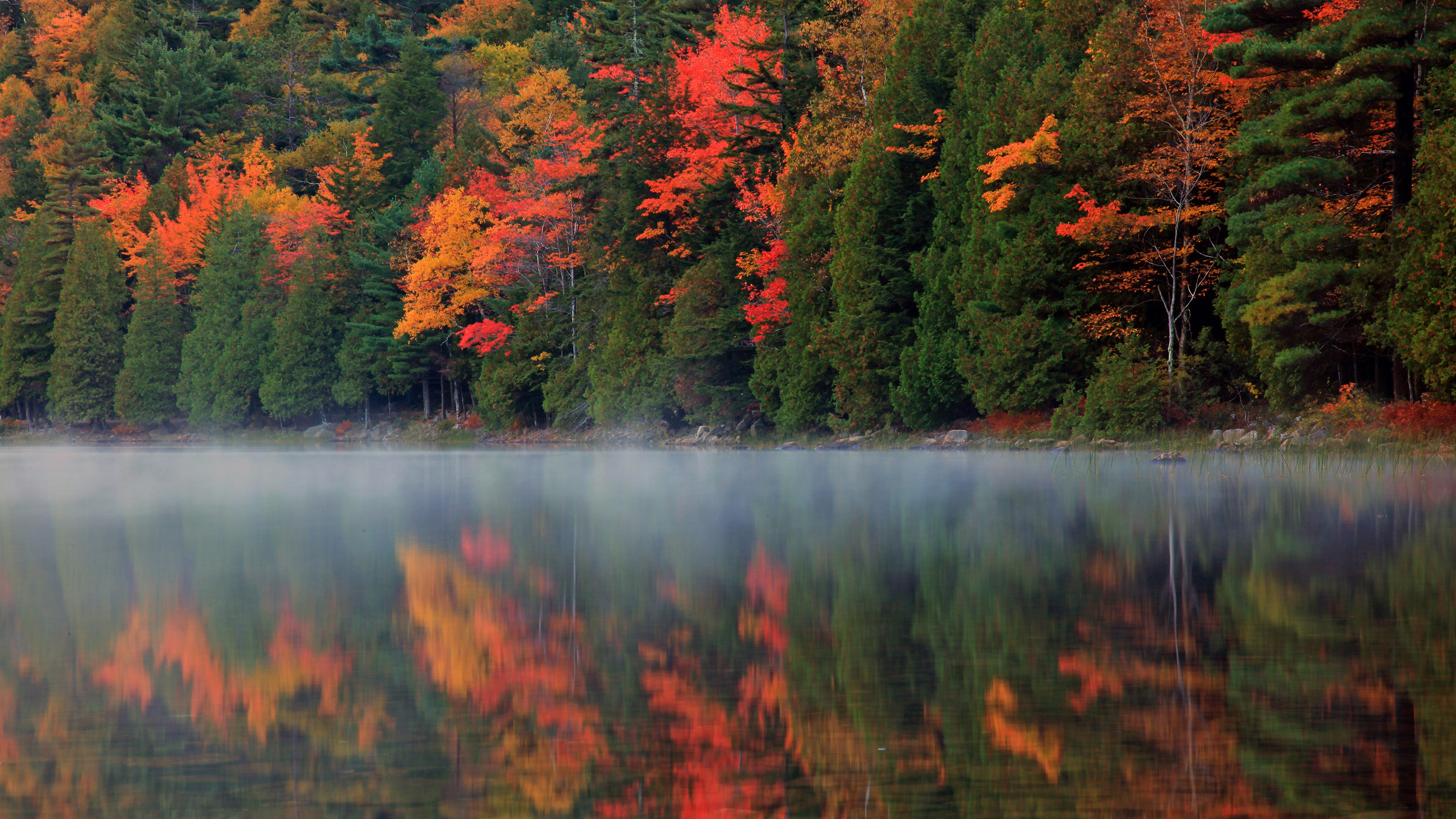Green and Red Trees Beside Lake During Daytime. Wallpaper in 2560x1440 Resolution