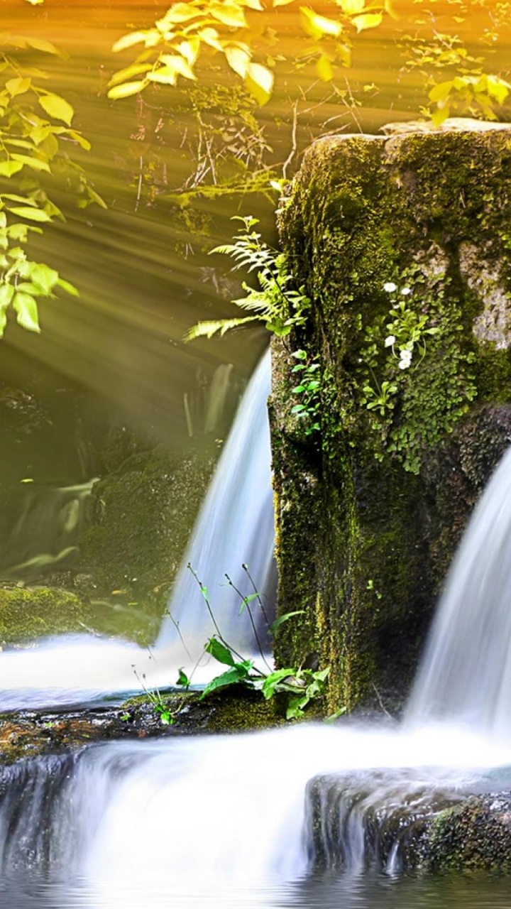 L'eau Tombe au Milieu de la Forêt. Wallpaper in 720x1280 Resolution