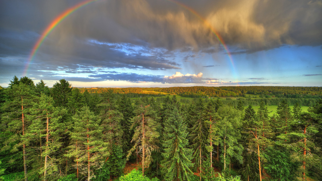 Pinos Verdes Bajo el Arco Iris y el Cielo Azul. Wallpaper in 1366x768 Resolution