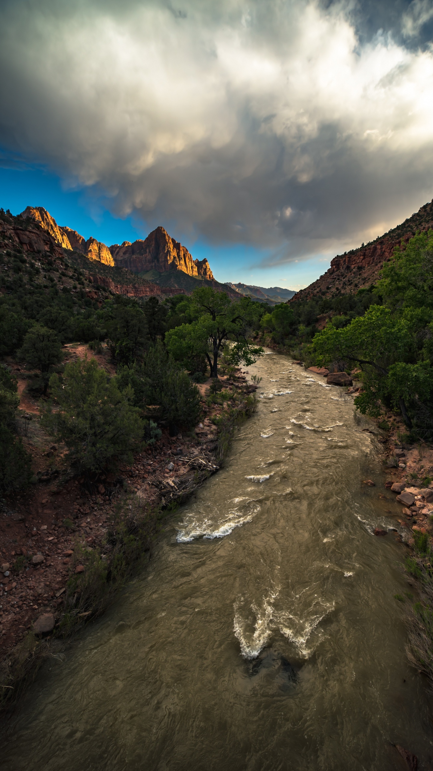 el Parque Nacional Zion, Montaña, Paisaje Natural, Highland, Las Formaciones Montañosas. Wallpaper in 1440x2560 Resolution
