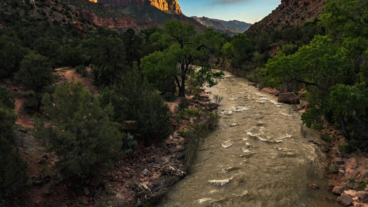 Zion National Park, Cloud, Naturlandschaft, Hochland, Baum. Wallpaper in 1280x720 Resolution