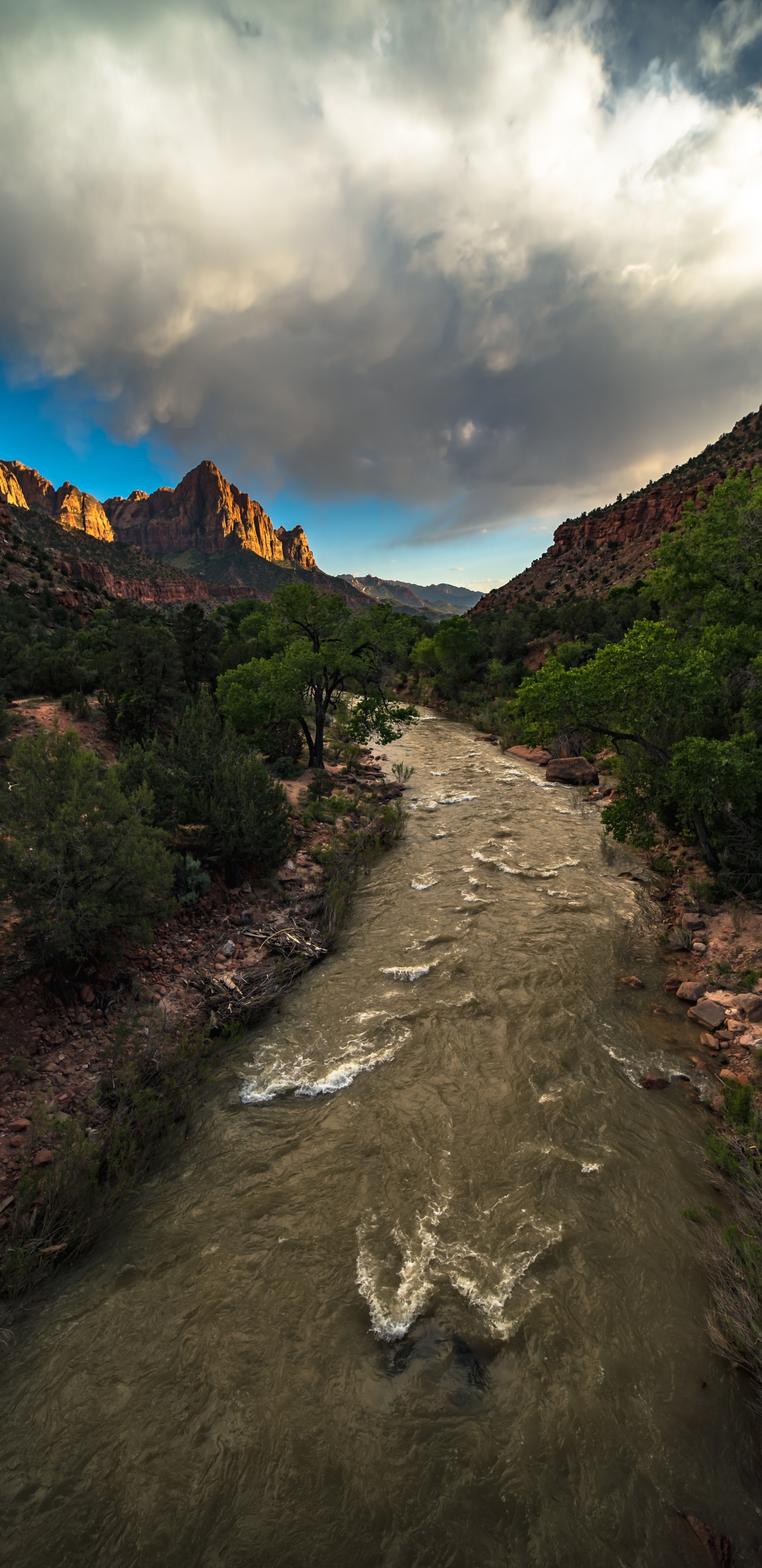 Zion National Park, Cloud, Naturlandschaft, Hochland, Baum. Wallpaper in 1440x2960 Resolution