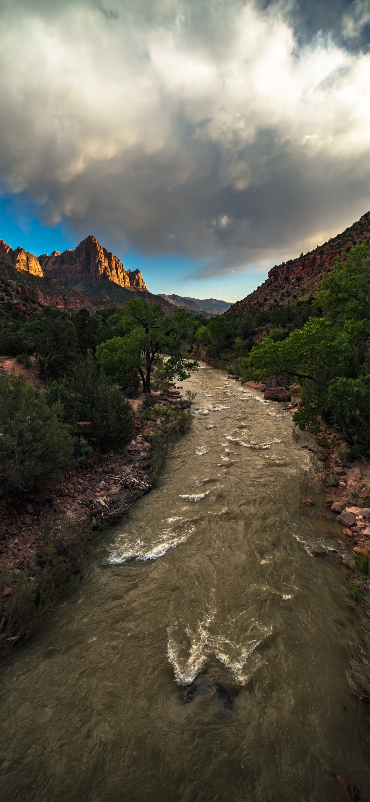Zion National Park, Cloud, Plant, Mountain, Natural Landscape. Wallpaper in 1242x2688 Resolution