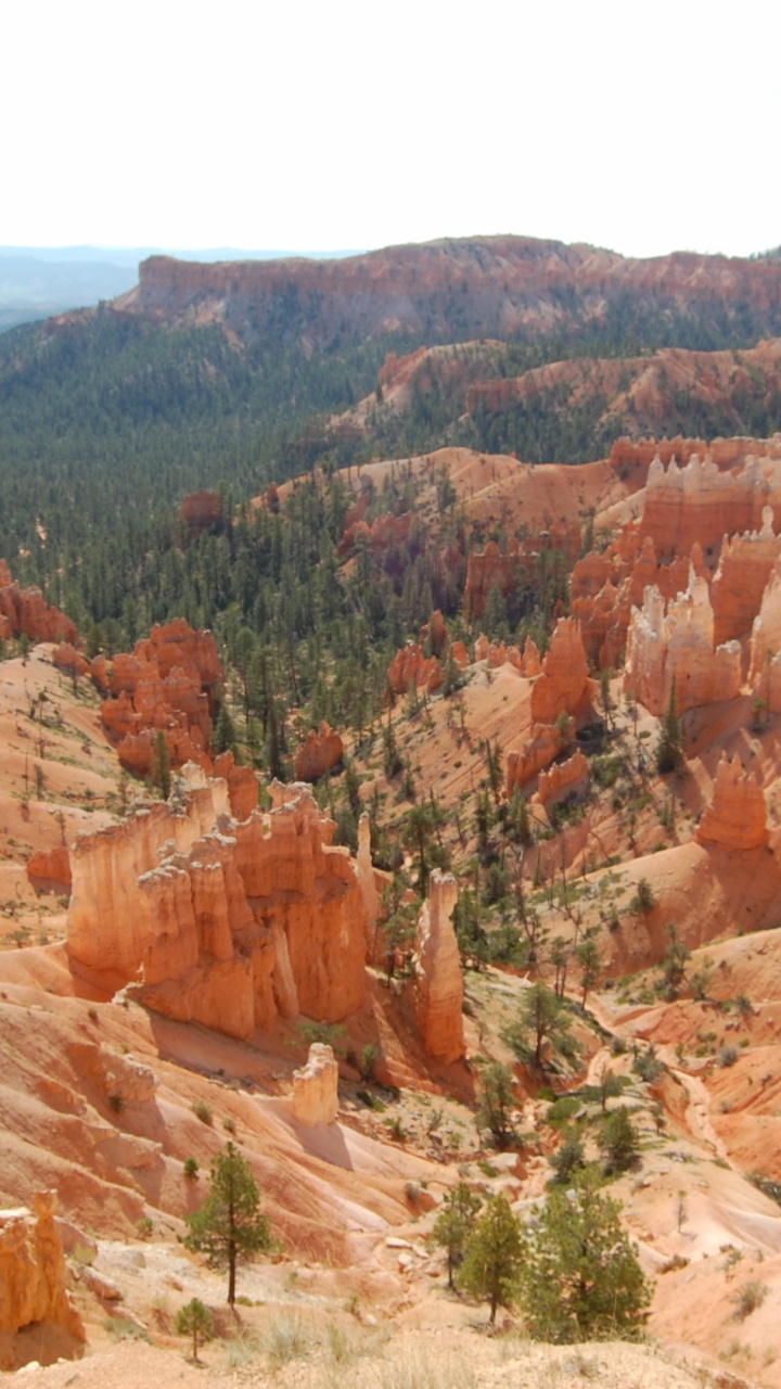 Formation Rocheuse Brune Pendant la Journée. Wallpaper in 720x1280 Resolution