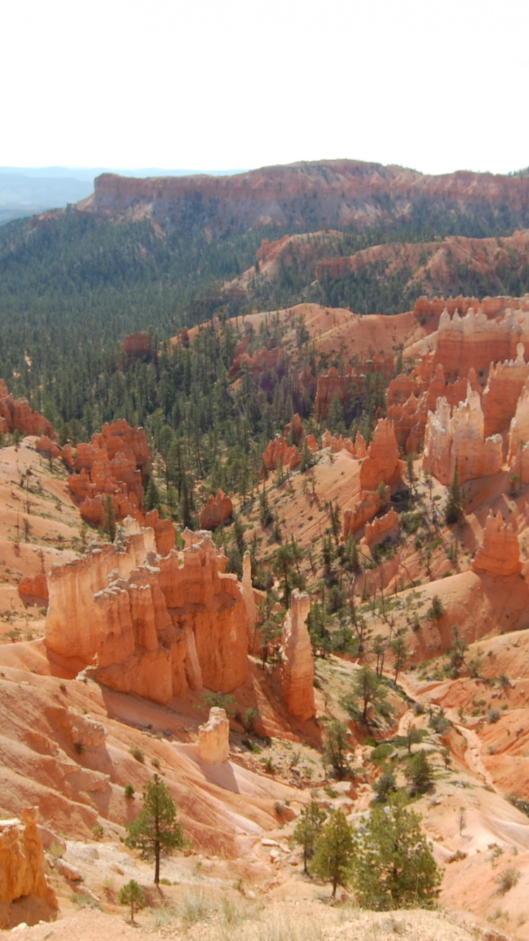 Formación de Roca Marrón Durante el Día.. Wallpaper in 750x1334 Resolution