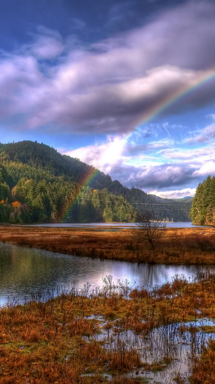 Green Trees Near Lake Under Blue Sky During Daytime. Wallpaper in 750x1334 Resolution