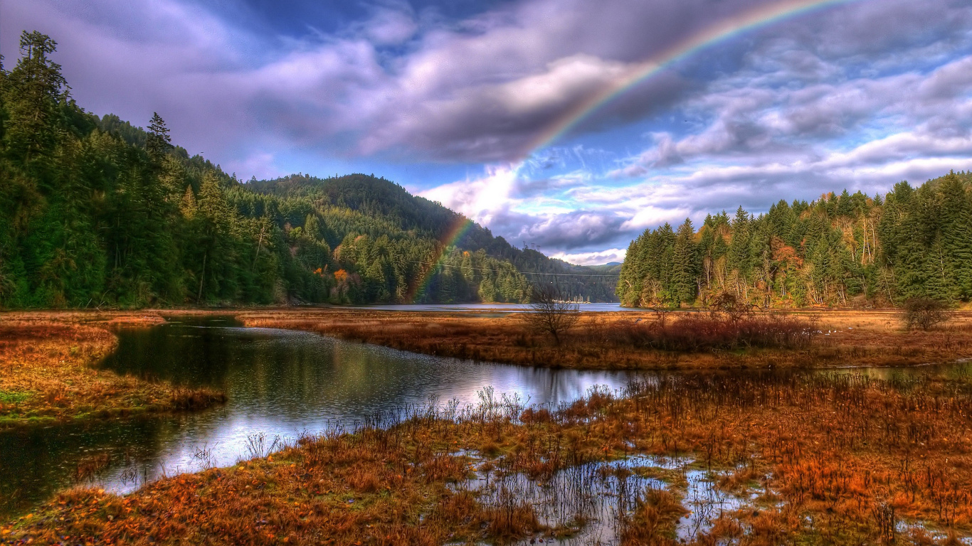 Grüne Bäume in Der Nähe Des Sees Unter Blauem Himmel Tagsüber. Wallpaper in 1366x768 Resolution