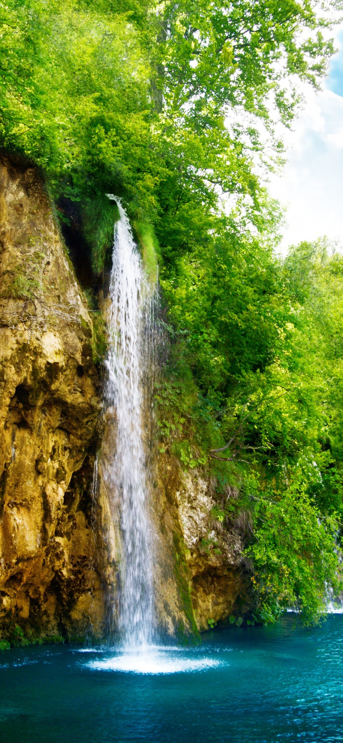 Grüne Bäume Neben Dem Fluss Unter Blauem Himmel Tagsüber. Wallpaper in 1125x2436 Resolution