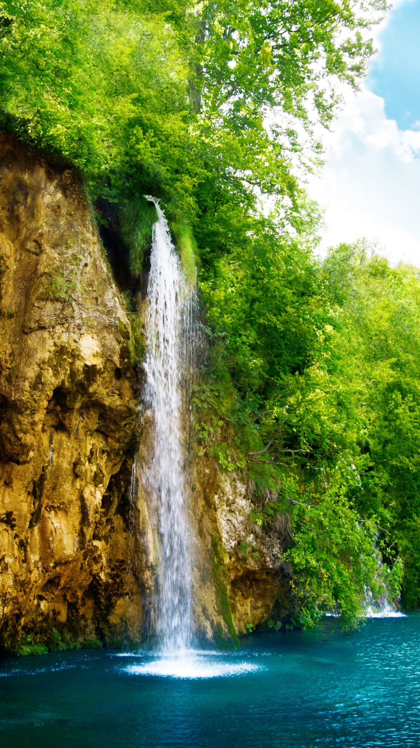 Green Trees Beside River Under Blue Sky During Daytime. Wallpaper in 1440x2560 Resolution