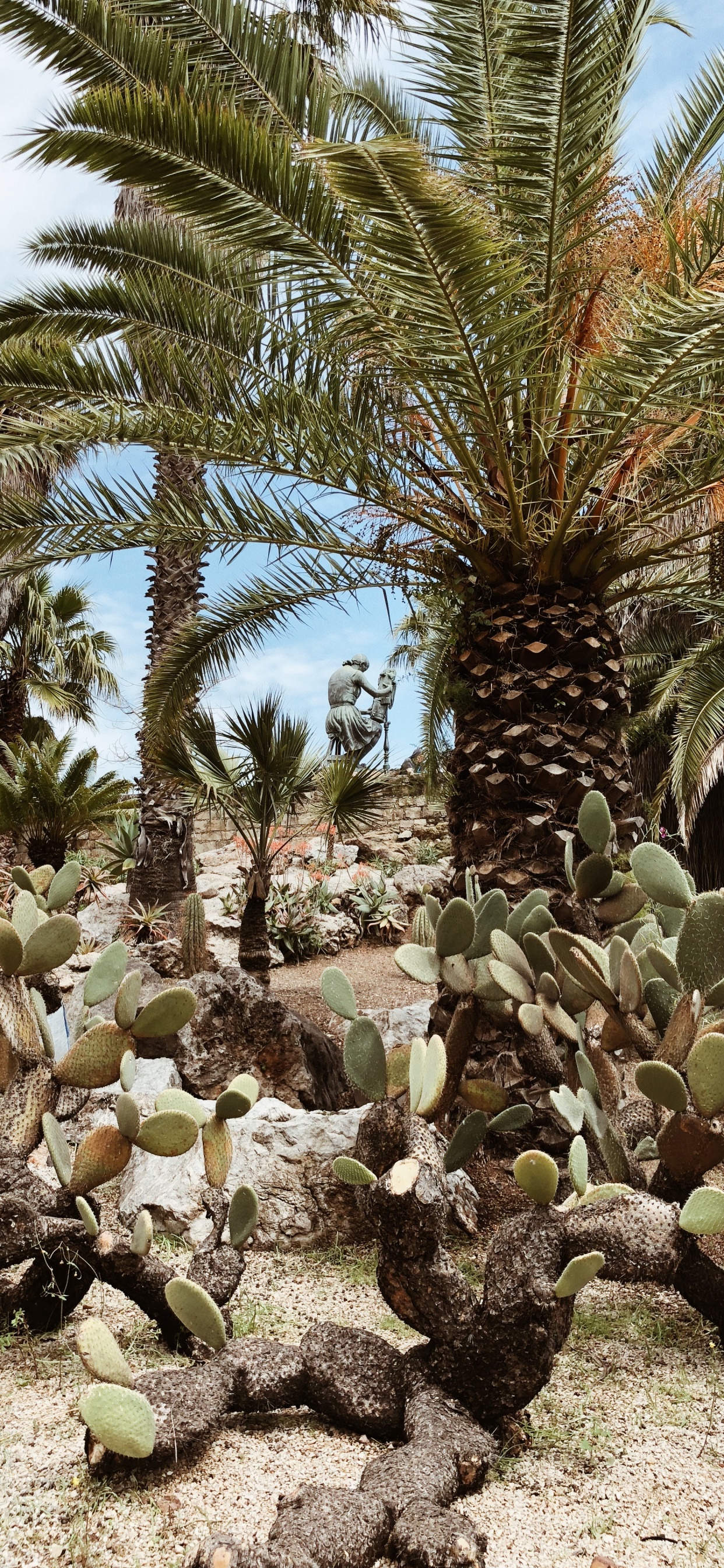 Vegetation, Biome, Shrubland, Oil Palms, Ecology. Wallpaper in 1242x2688 Resolution