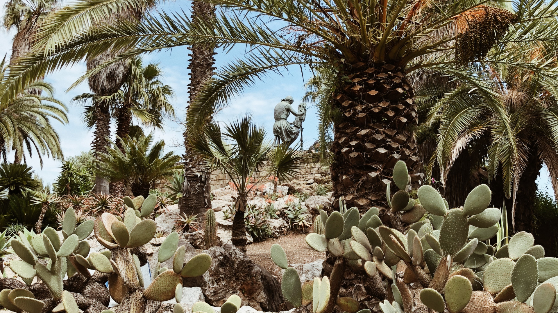 Vegetation, Biome, Shrubland, Oil Palms, Ecology. Wallpaper in 1920x1080 Resolution