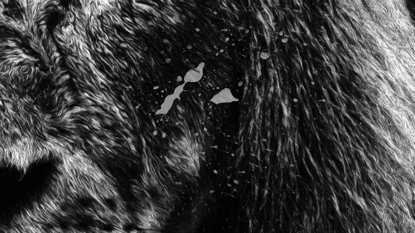 Leones, Android, Llamada de Color de Fantasía, Cabello, Cabeza. Wallpaper in 1366x768 Resolution