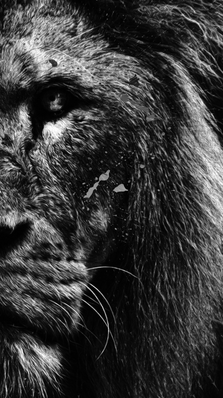 Leones, Android, Llamada de Color de Fantasía, Cabello, Cabeza. Wallpaper in 750x1334 Resolution