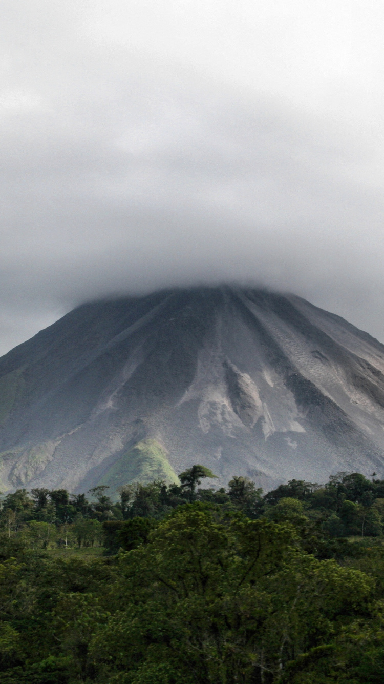 Árboles Verdes y Montañas Bajo Nubes Blancas Durante el Día. Wallpaper in 750x1334 Resolution