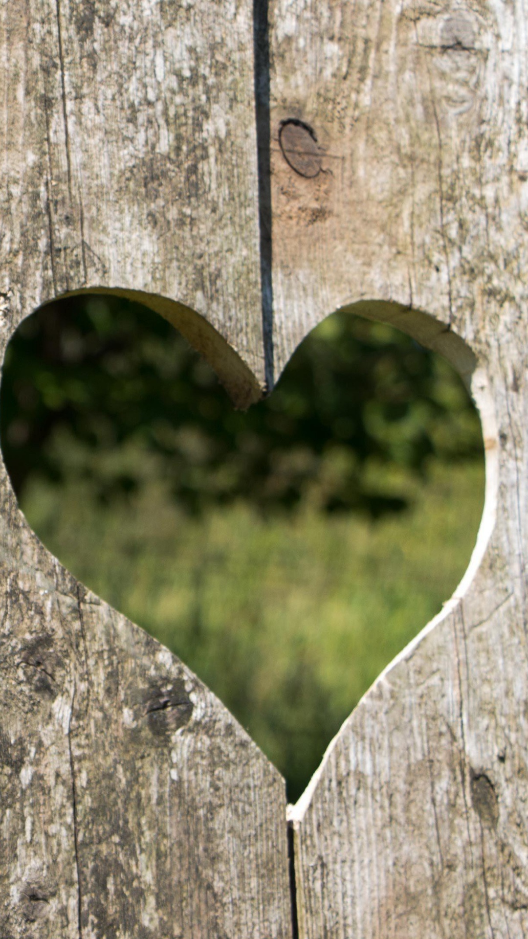 Wood, Heart, Leaf, Tree, Trunk. Wallpaper in 1080x1920 Resolution