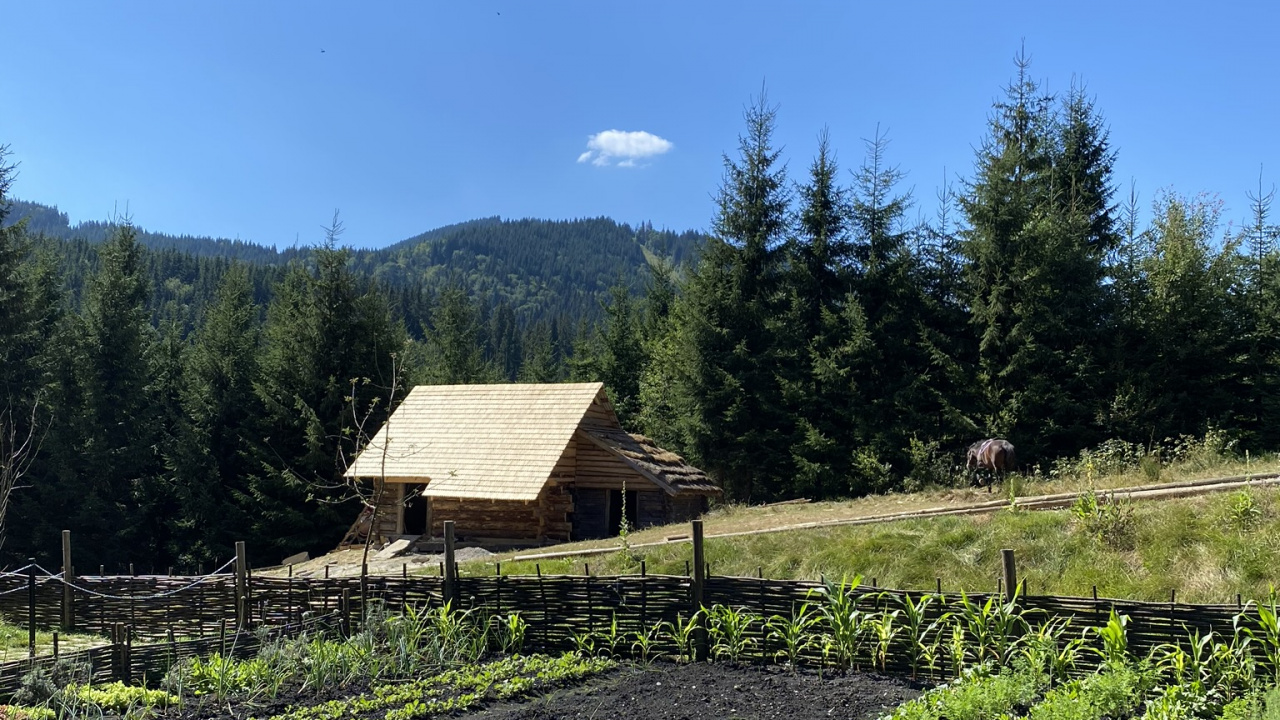 农业, 农场, 农村地区, 种植园, 土地很多 壁纸 1280x720 允许