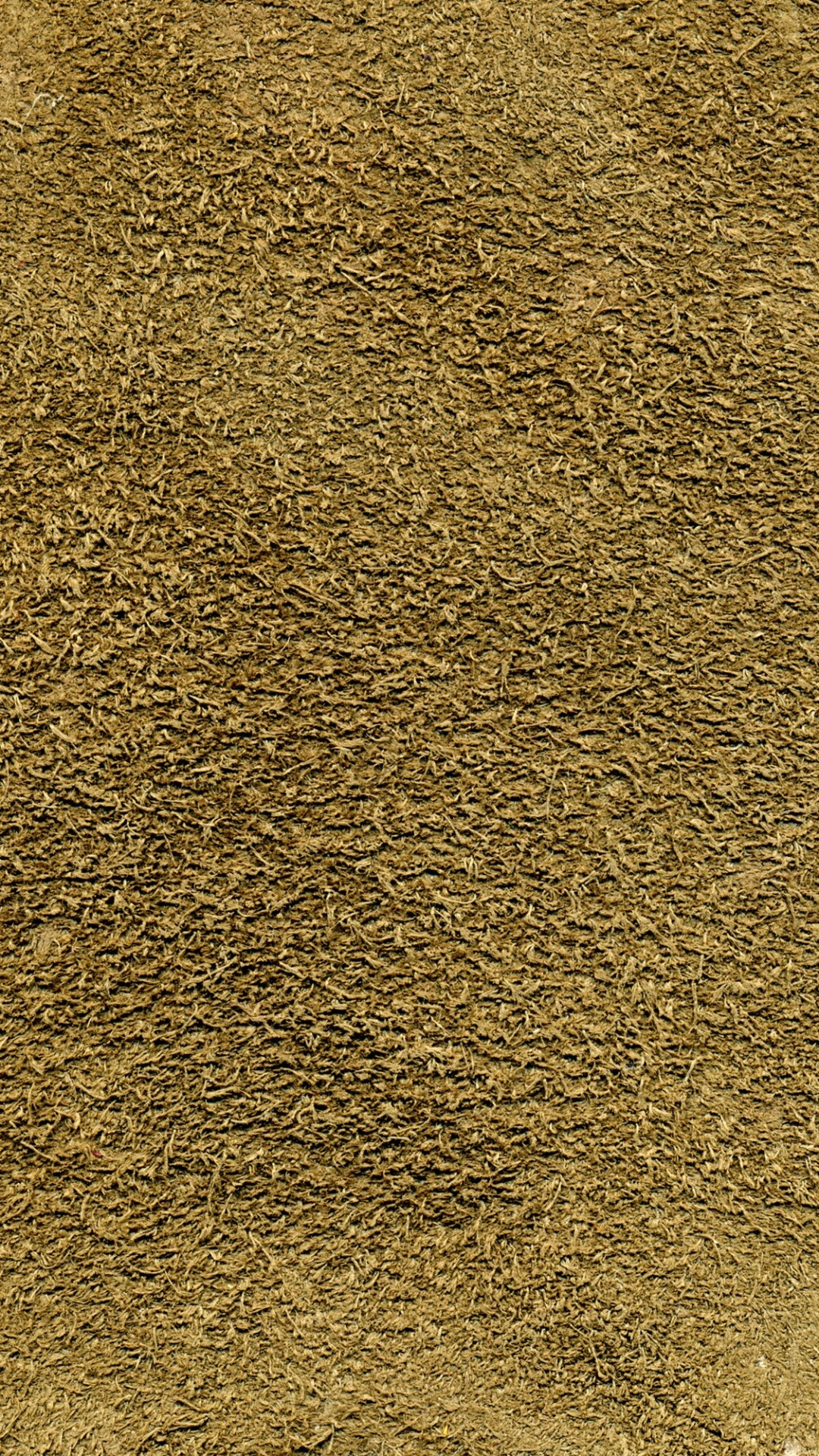 草, 的土壤, 材料 壁纸 1080x1920 允许