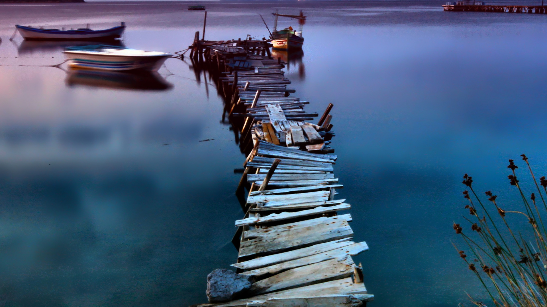 Segelfisch, Betriebssystem, Jolla, Linux, Stehend. Wallpaper in 1920x1080 Resolution