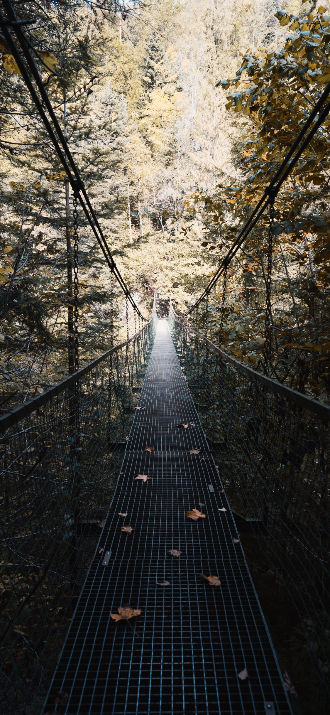 Brown Wooden Hanging Bridge Surrounded by Trees. Wallpaper in 1125x2436 Resolution