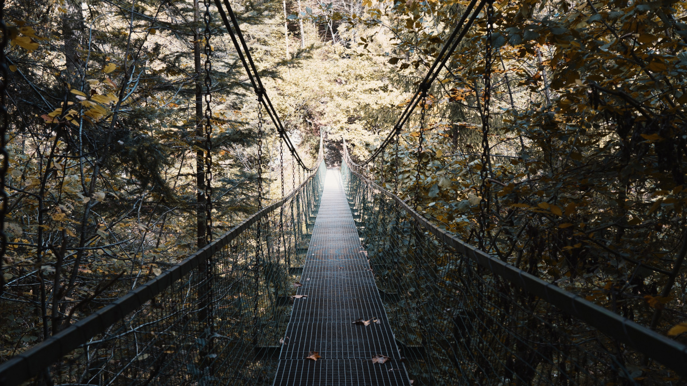 Pont Suspendu en Bois Marron Entouré D'arbres. Wallpaper in 1366x768 Resolution