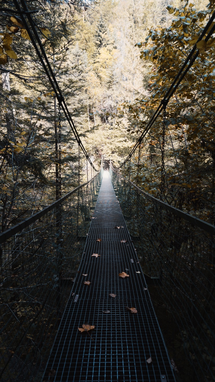Pont Suspendu en Bois Marron Entouré D'arbres. Wallpaper in 720x1280 Resolution