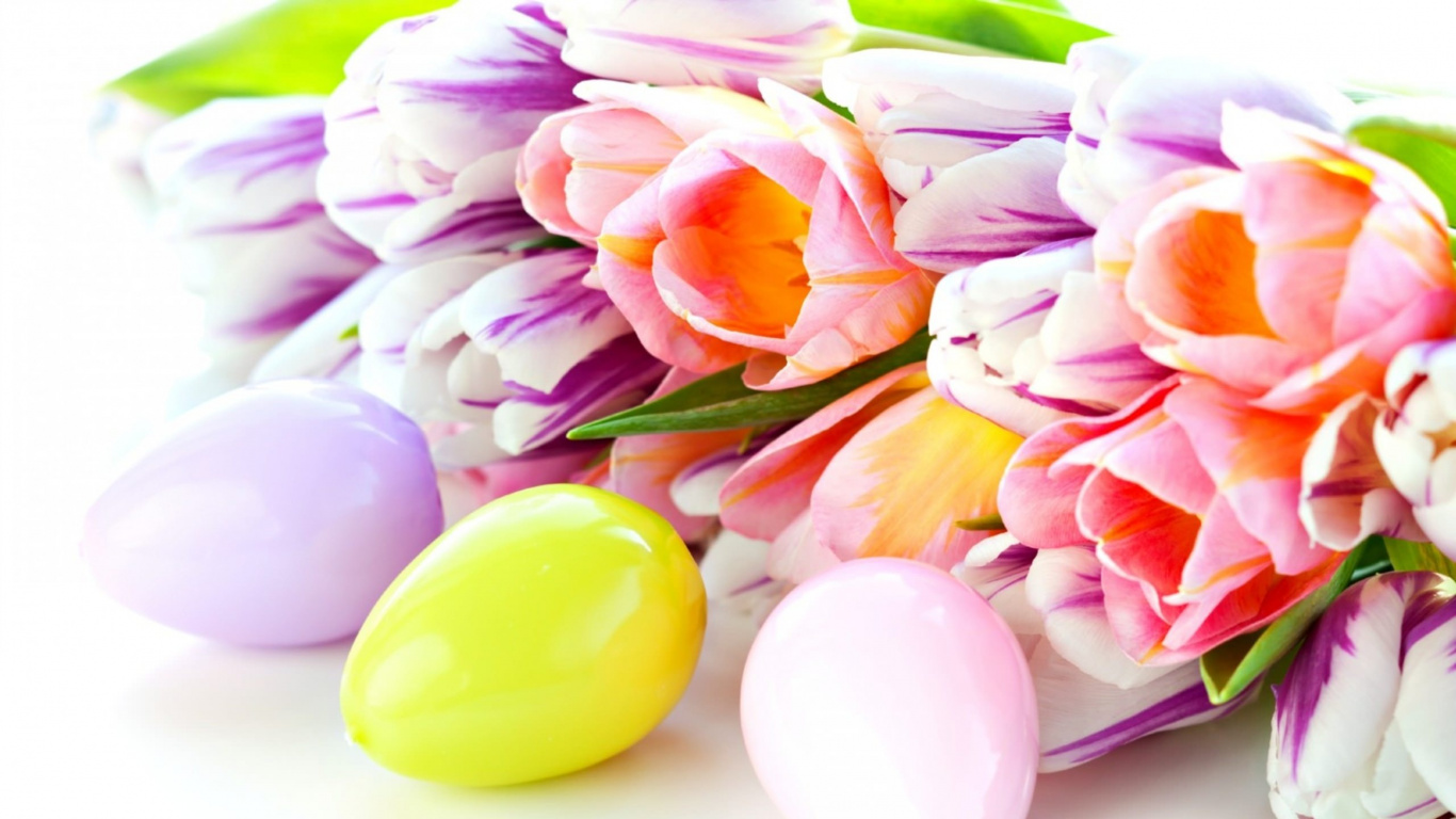 Pink and Yellow Tulips on White Surface. Wallpaper in 1366x768 Resolution