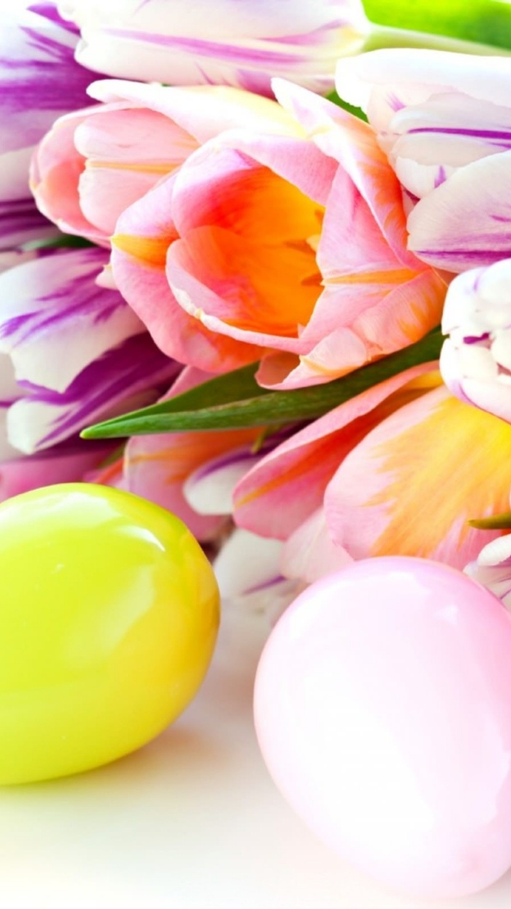 Pink and Yellow Tulips on White Surface. Wallpaper in 720x1280 Resolution