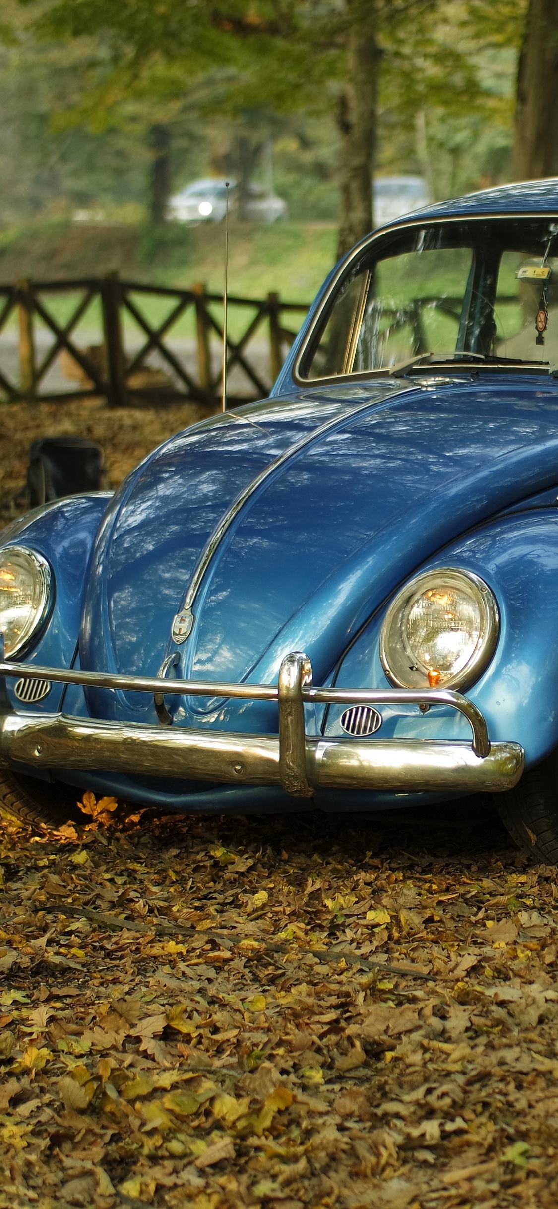Volkswagen Beetle Bleu Sur Les Feuilles Séchées Brunes Pendant la Journée. Wallpaper in 1125x2436 Resolution