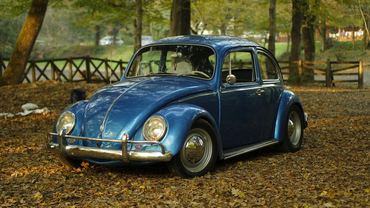 Volkswagen Beetle Bleu Sur Les Feuilles Séchées Brunes Pendant la Journée. Wallpaper in 1280x720 Resolution