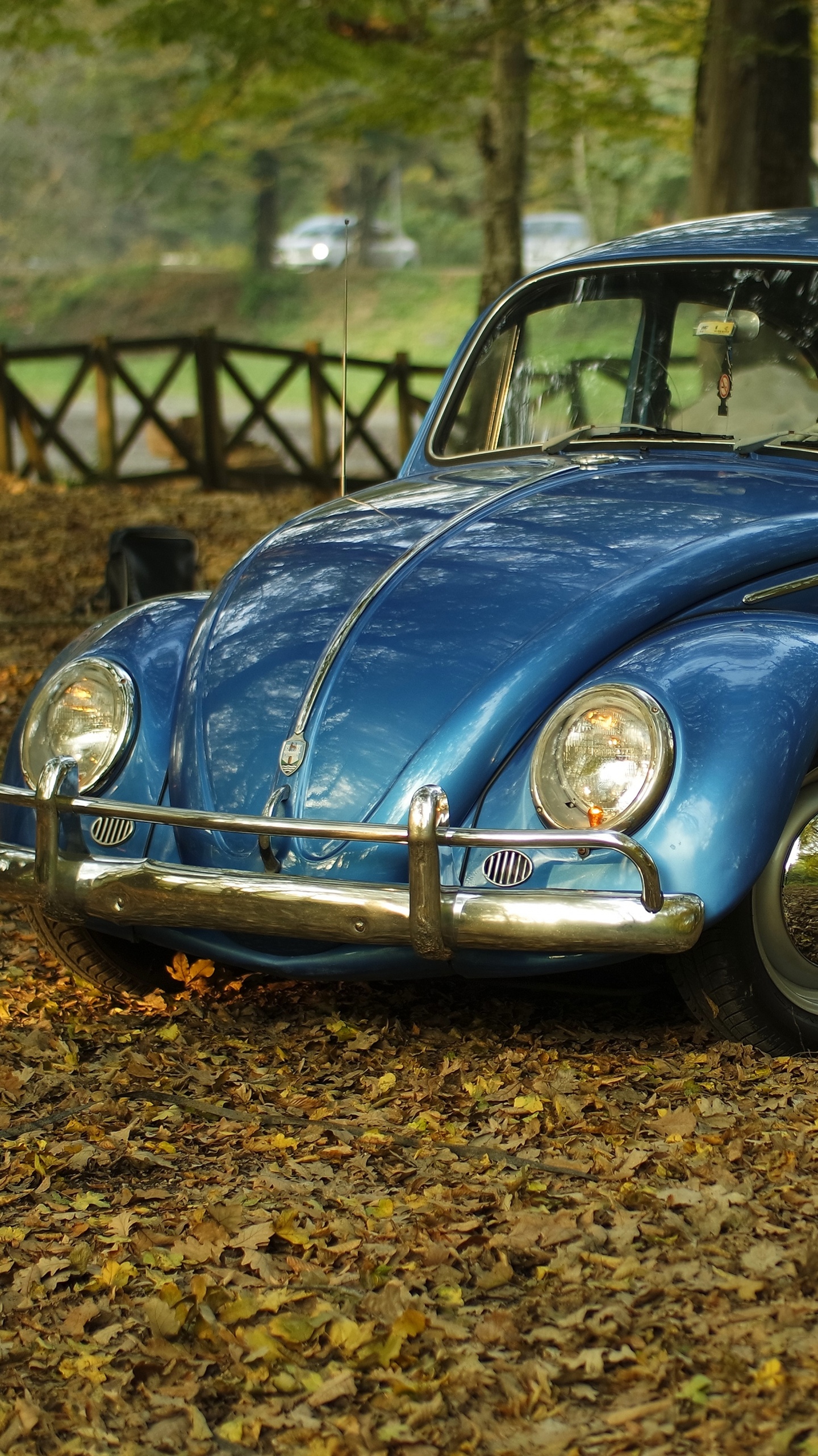 Volkswagen Beetle Bleu Sur Les Feuilles Séchées Brunes Pendant la Journée. Wallpaper in 1440x2560 Resolution