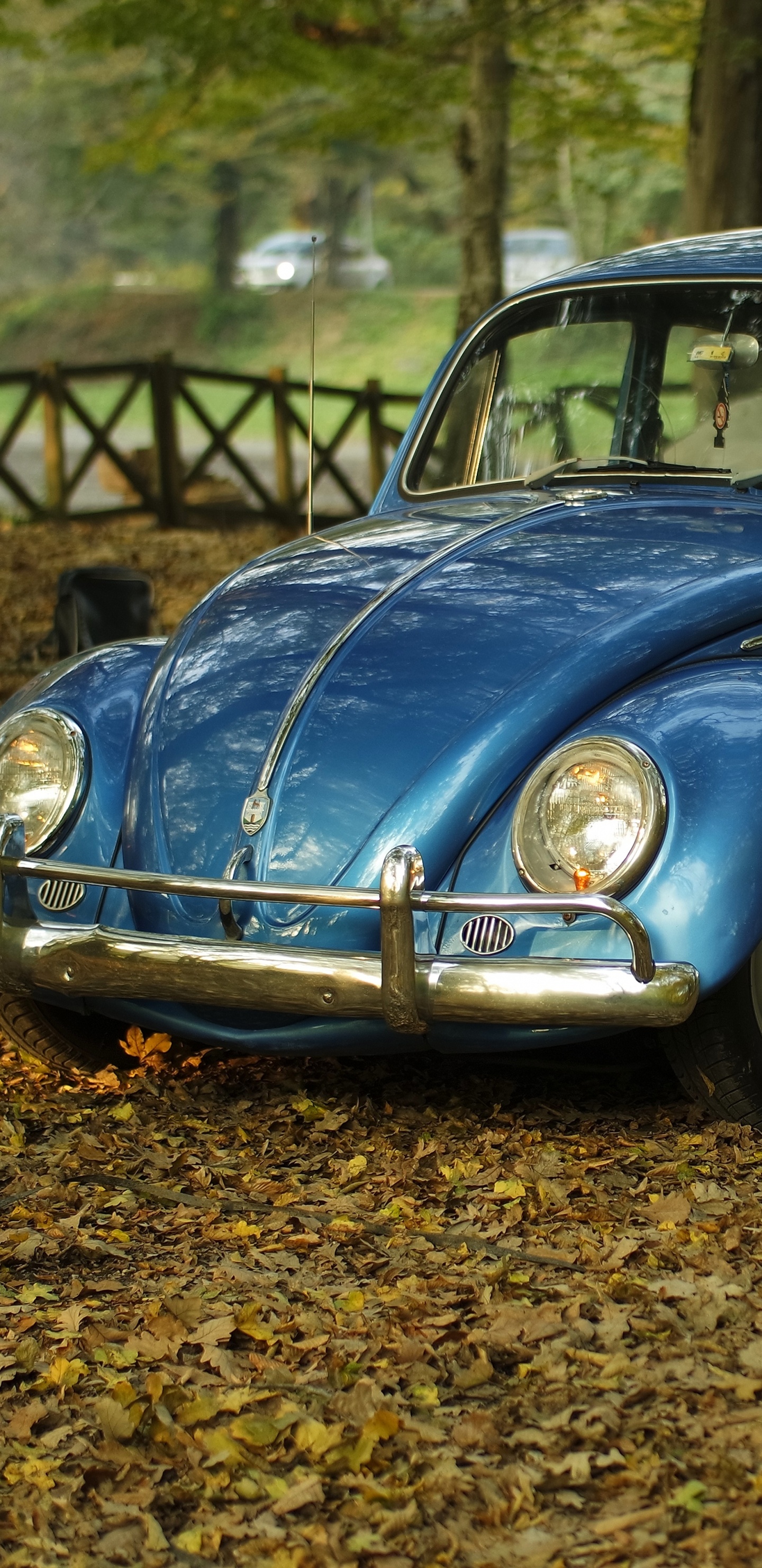 Volkswagen Beetle Bleu Sur Les Feuilles Séchées Brunes Pendant la Journée. Wallpaper in 1440x2960 Resolution