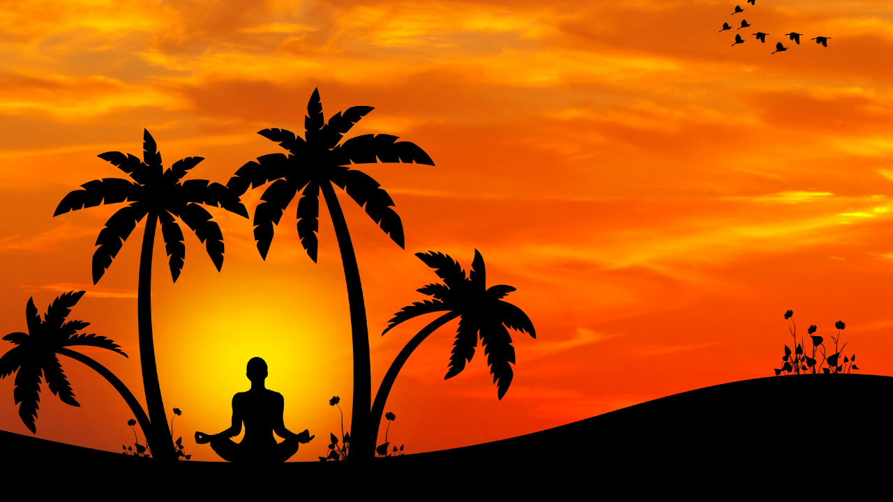 Silhouette Der Palme Bei Sonnenuntergang. Wallpaper in 1280x720 Resolution