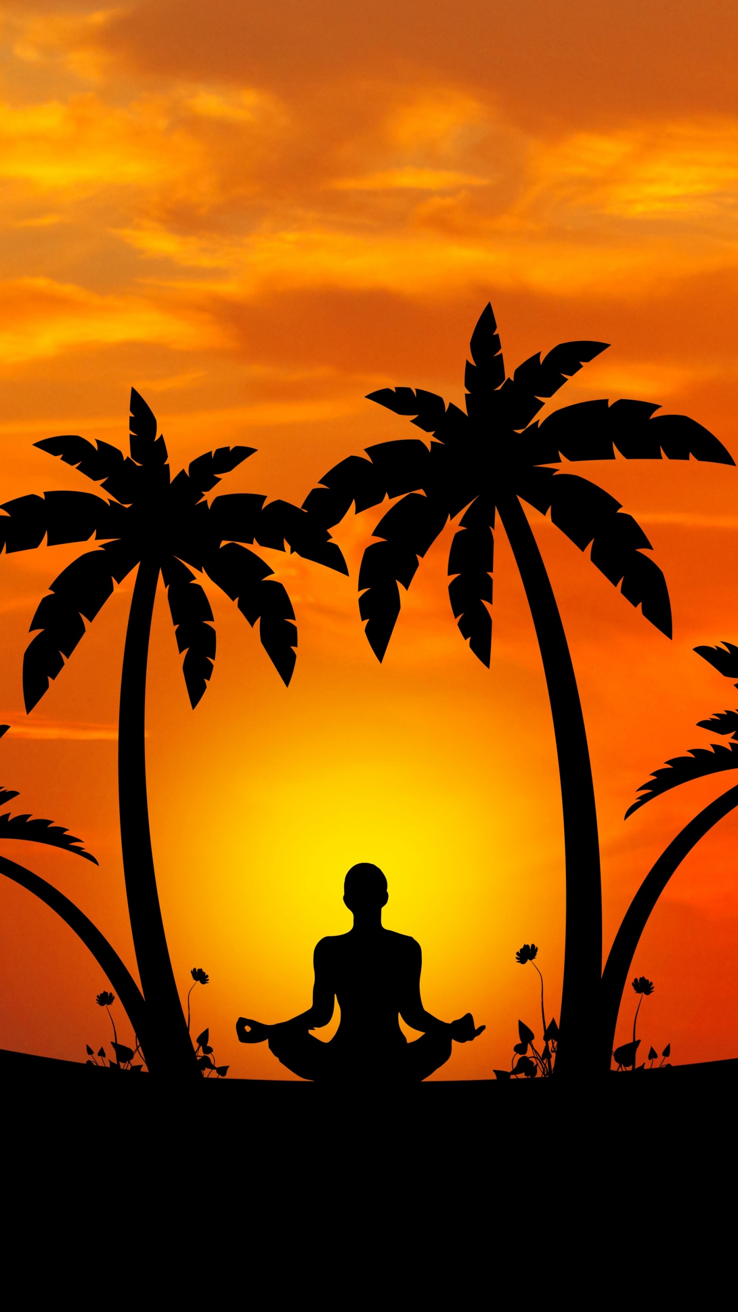 Silhouette Der Palme Bei Sonnenuntergang. Wallpaper in 1440x2560 Resolution