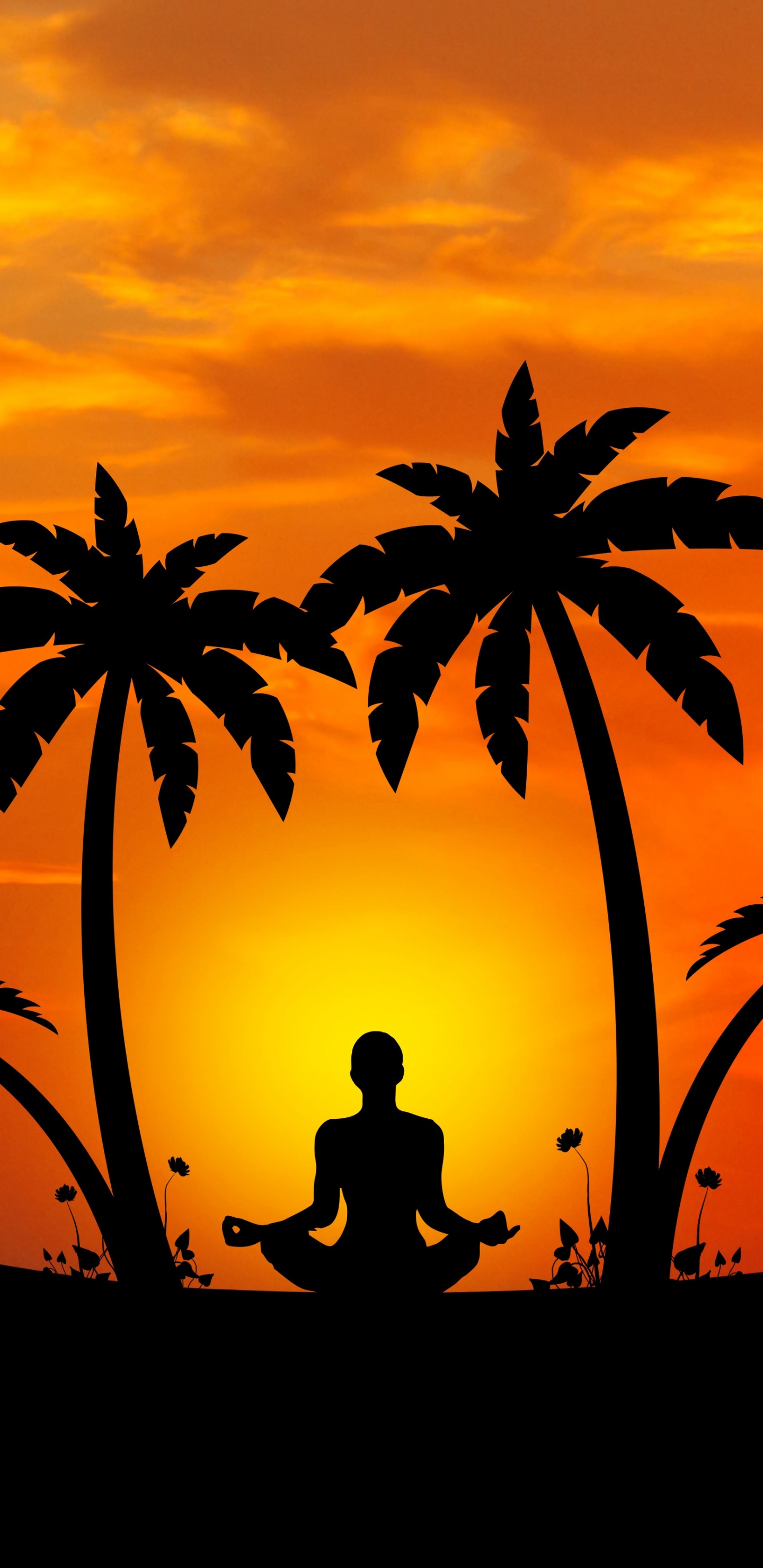 Silhouette Der Palme Bei Sonnenuntergang. Wallpaper in 1440x2960 Resolution