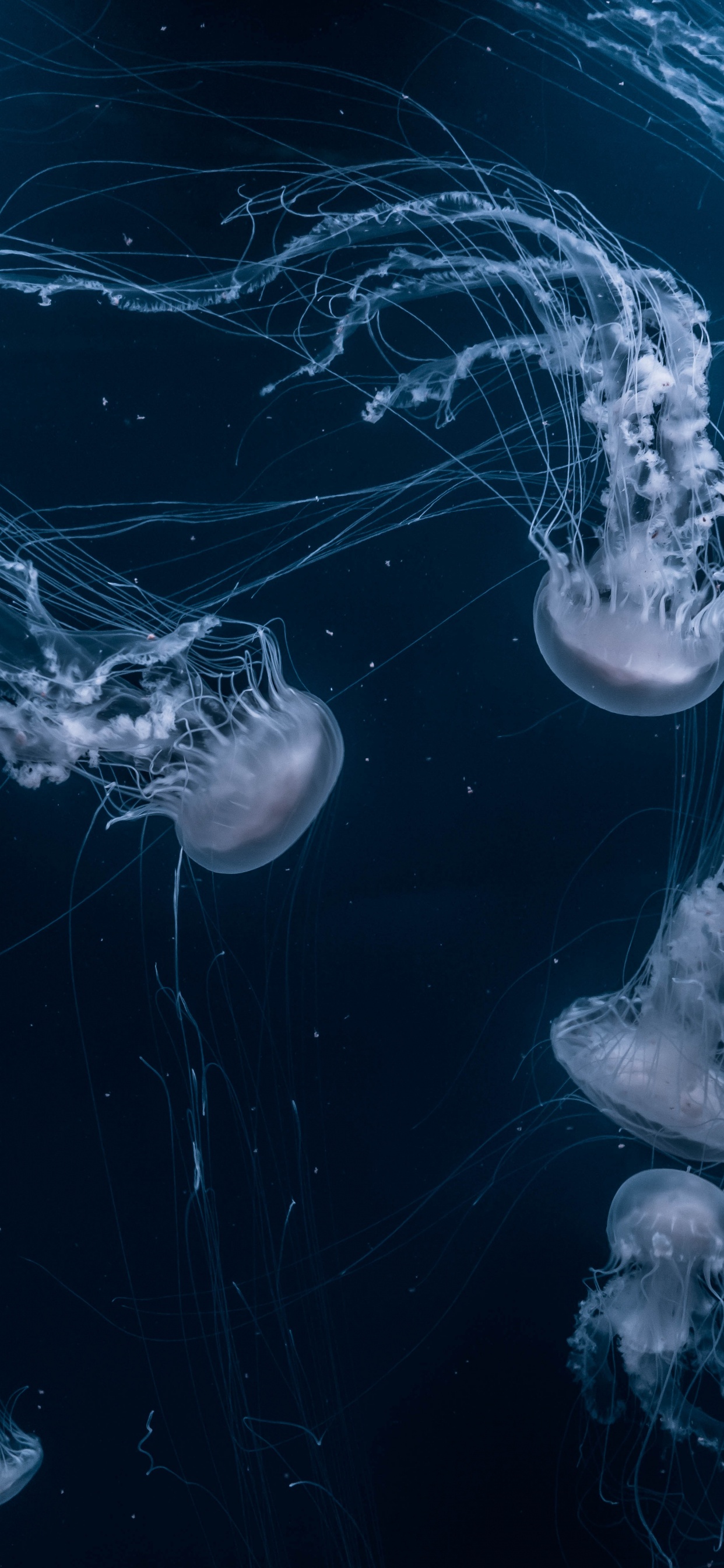 Aesthetics, Water, Liquid, Water Resources, Azure. Wallpaper in 1242x2688 Resolution