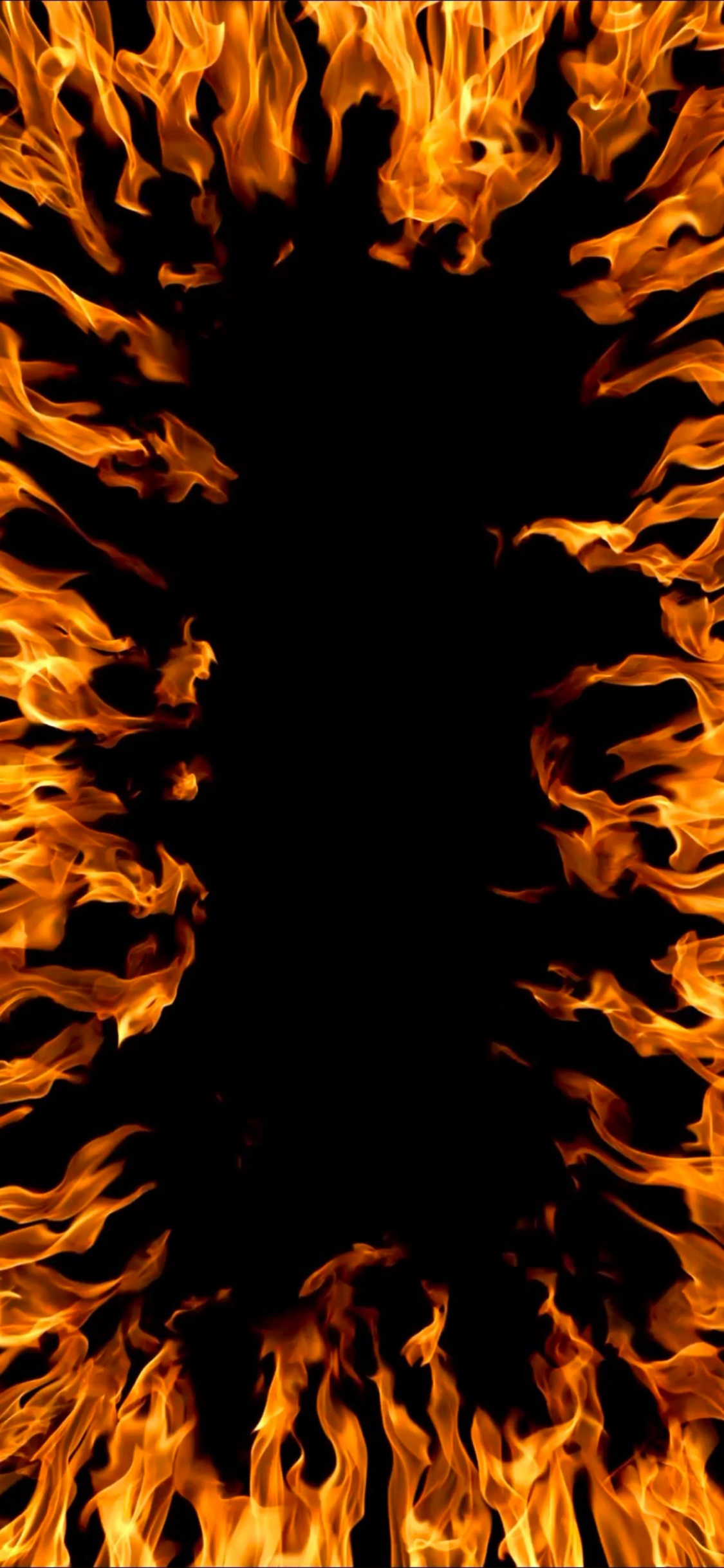 Flamme, Brown, Blatt, Natur, Branch. Wallpaper in 1125x2436 Resolution