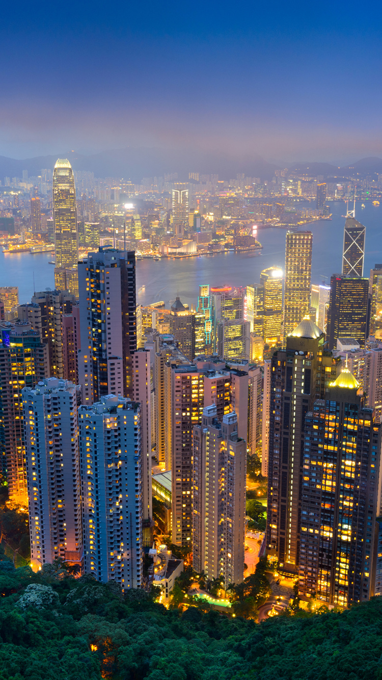 City Skyline During Night Time. Wallpaper in 750x1334 Resolution