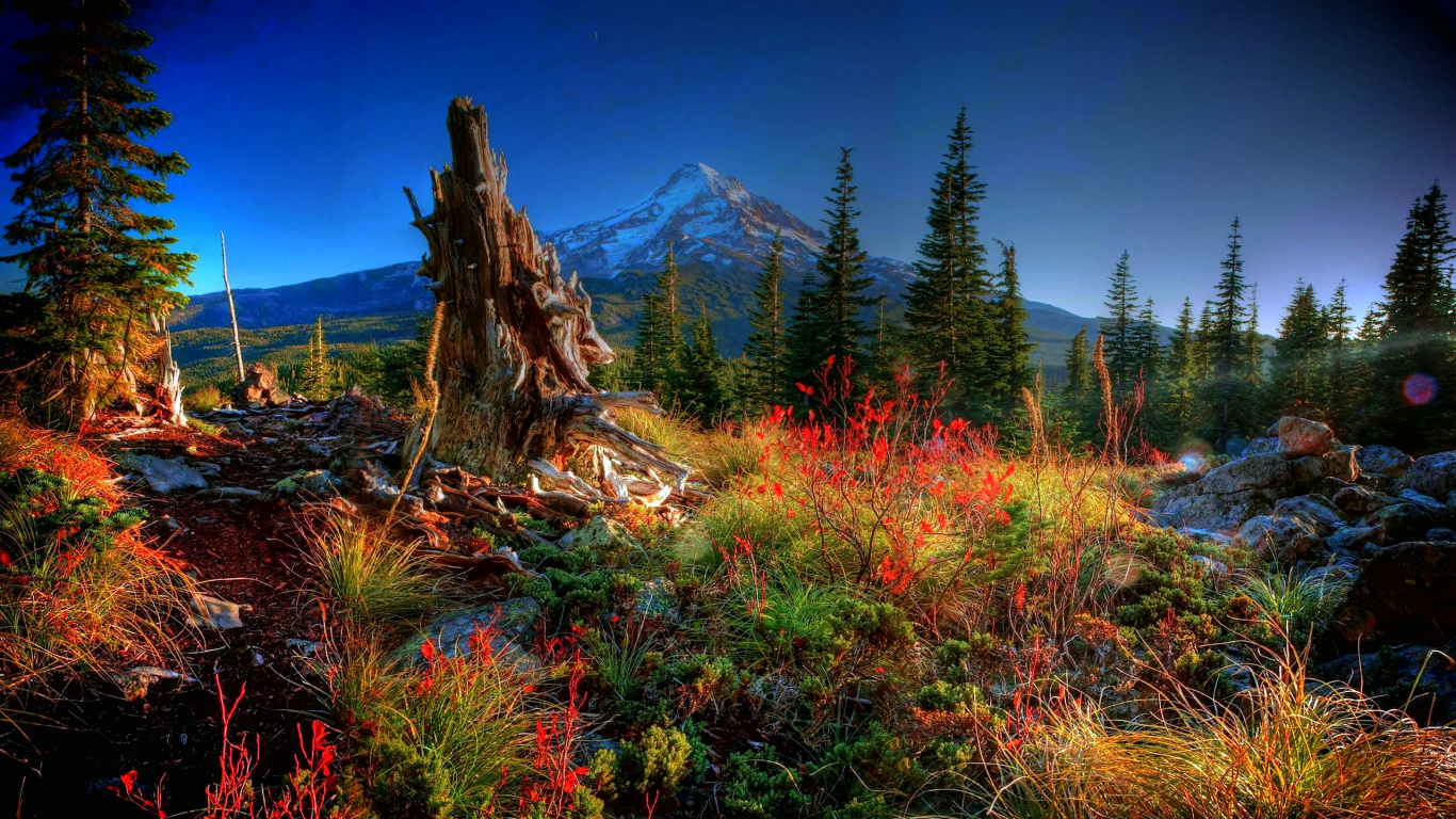 Green and Brown Grass Field Near Mountain Under Blue Sky During Daytime. Wallpaper in 1366x768 Resolution