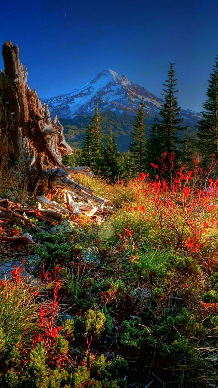 Green and Brown Grass Field Near Mountain Under Blue Sky During Daytime. Wallpaper in 720x1280 Resolution