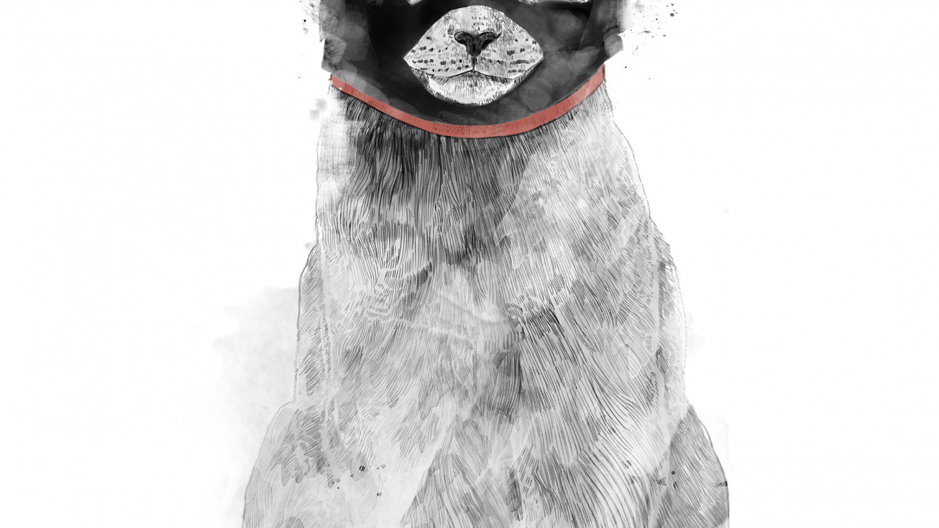 Chat, Art, Affiche, Dessin, Icanvas. Wallpaper in 1366x768 Resolution