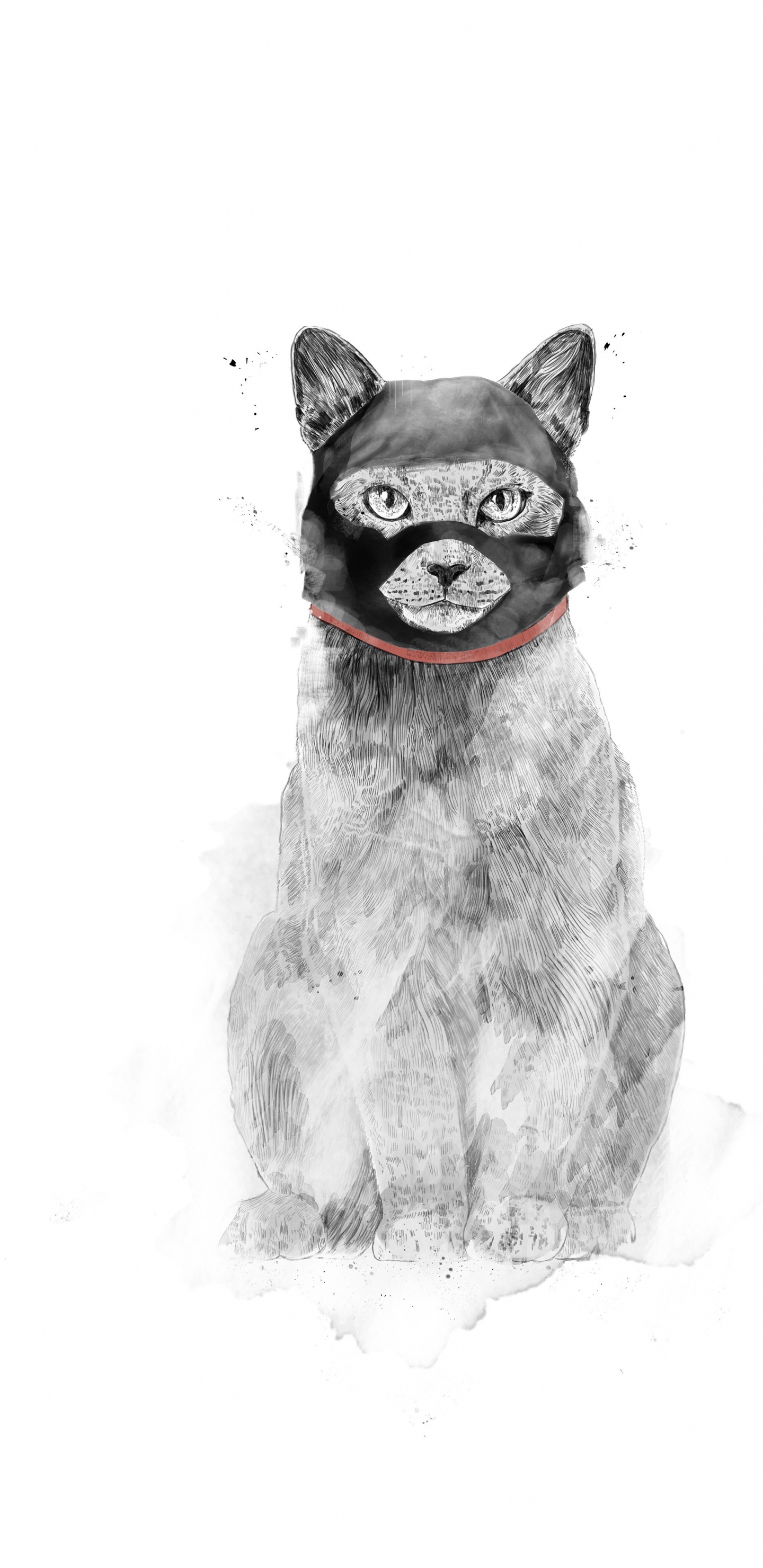 Chat, Art, Affiche, Dessin, Icanvas. Wallpaper in 1440x2960 Resolution