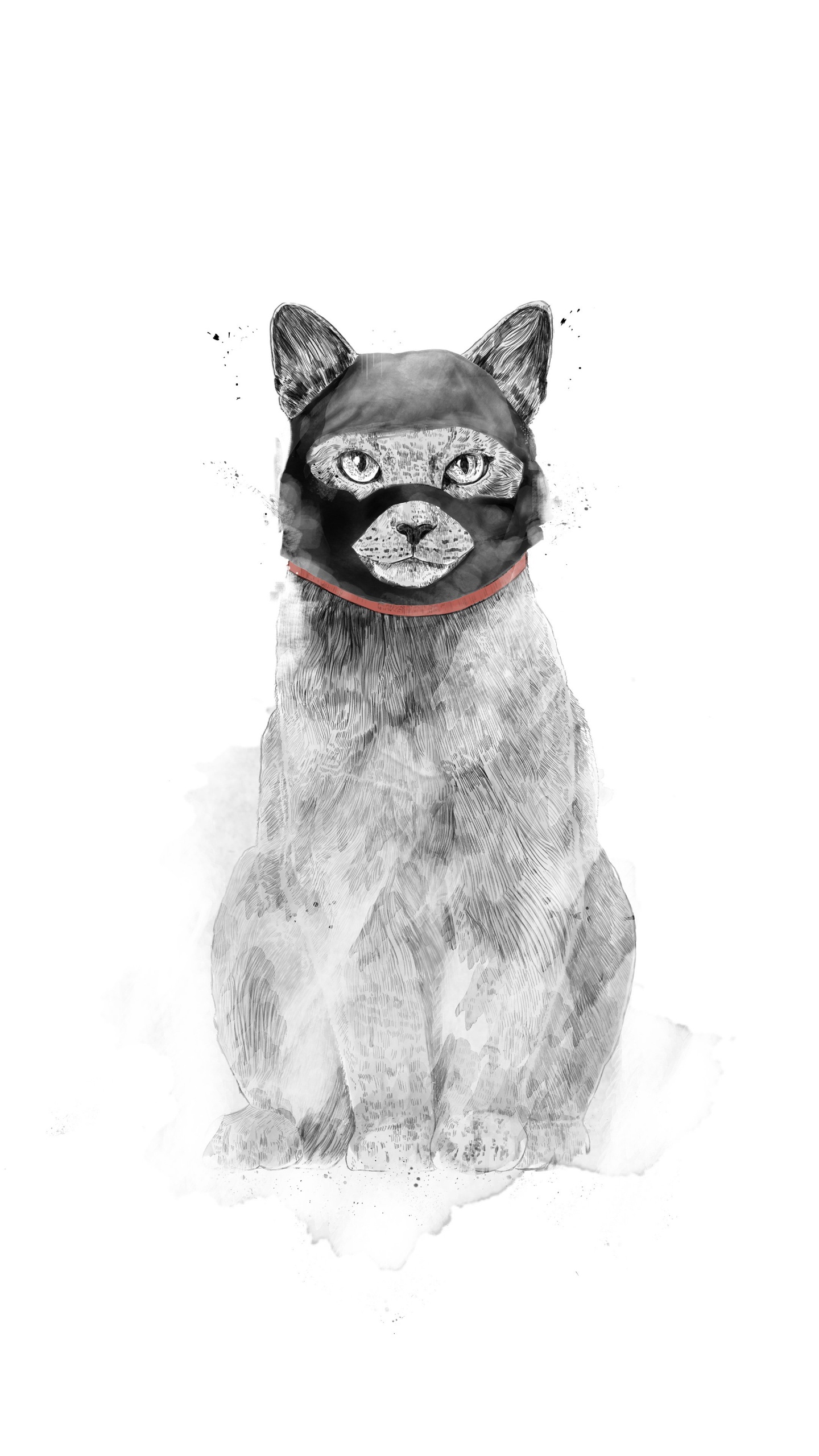 Gato, Arte, Cartel, Dibujo, Icanvas. Wallpaper in 1440x2560 Resolution