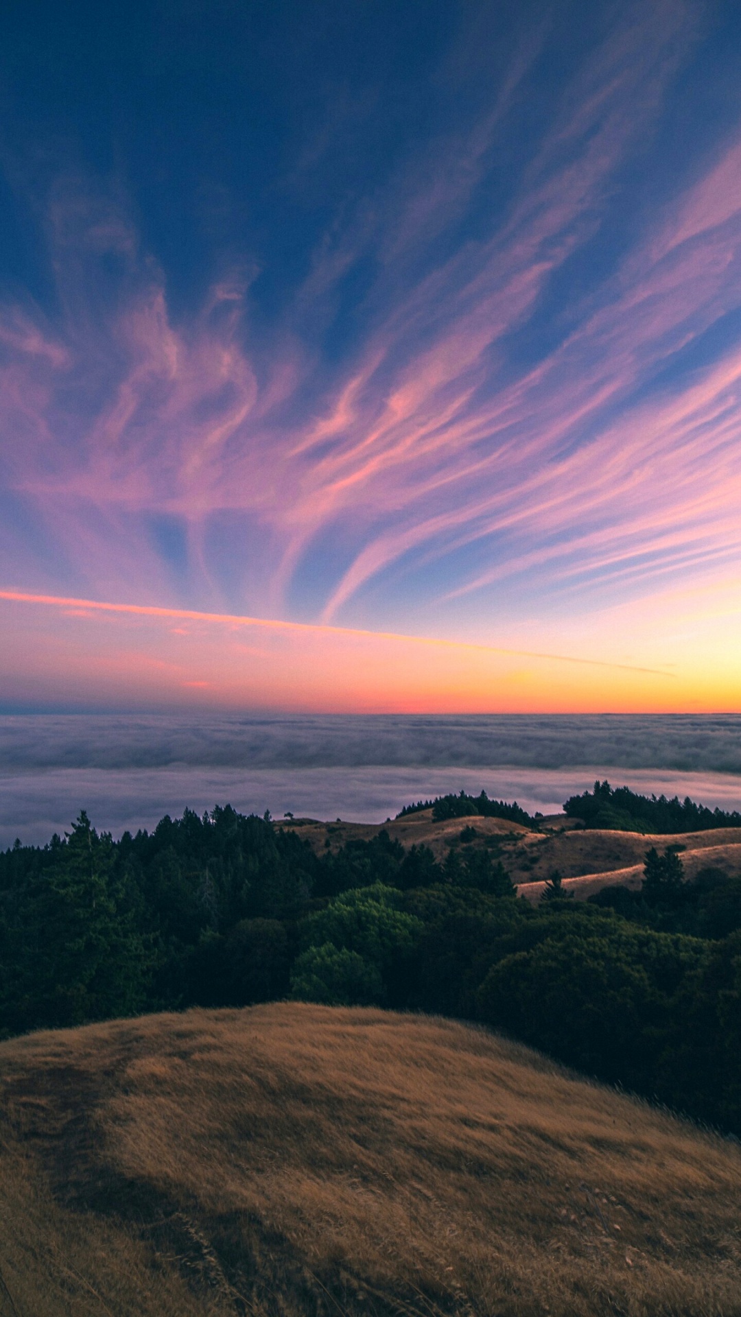 Ästhetischer Natur, Natur, Ästhetik, Cloud, Atmosphäre. Wallpaper in 1080x1920 Resolution