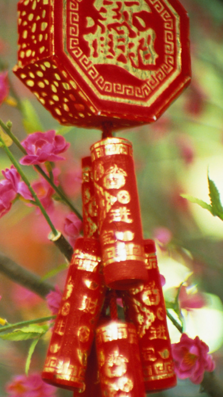 中国, 粉红色, 弹簧, 开花, 中国农历新年 壁纸 750x1334 允许