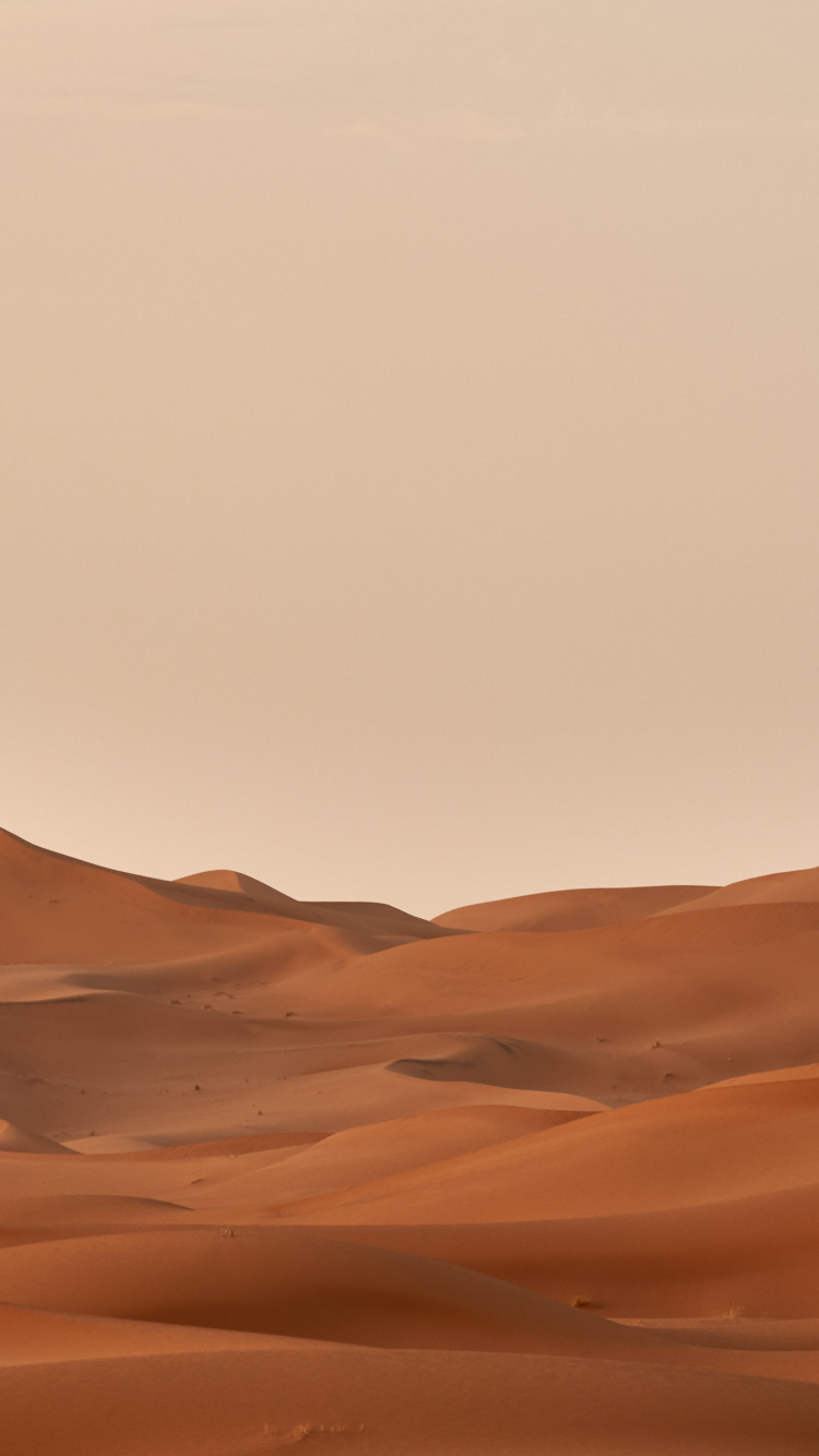 Wolfgang Hasselman, Morena, Paisaje Natural, Erg, Canto Arena. Wallpaper in 750x1334 Resolution