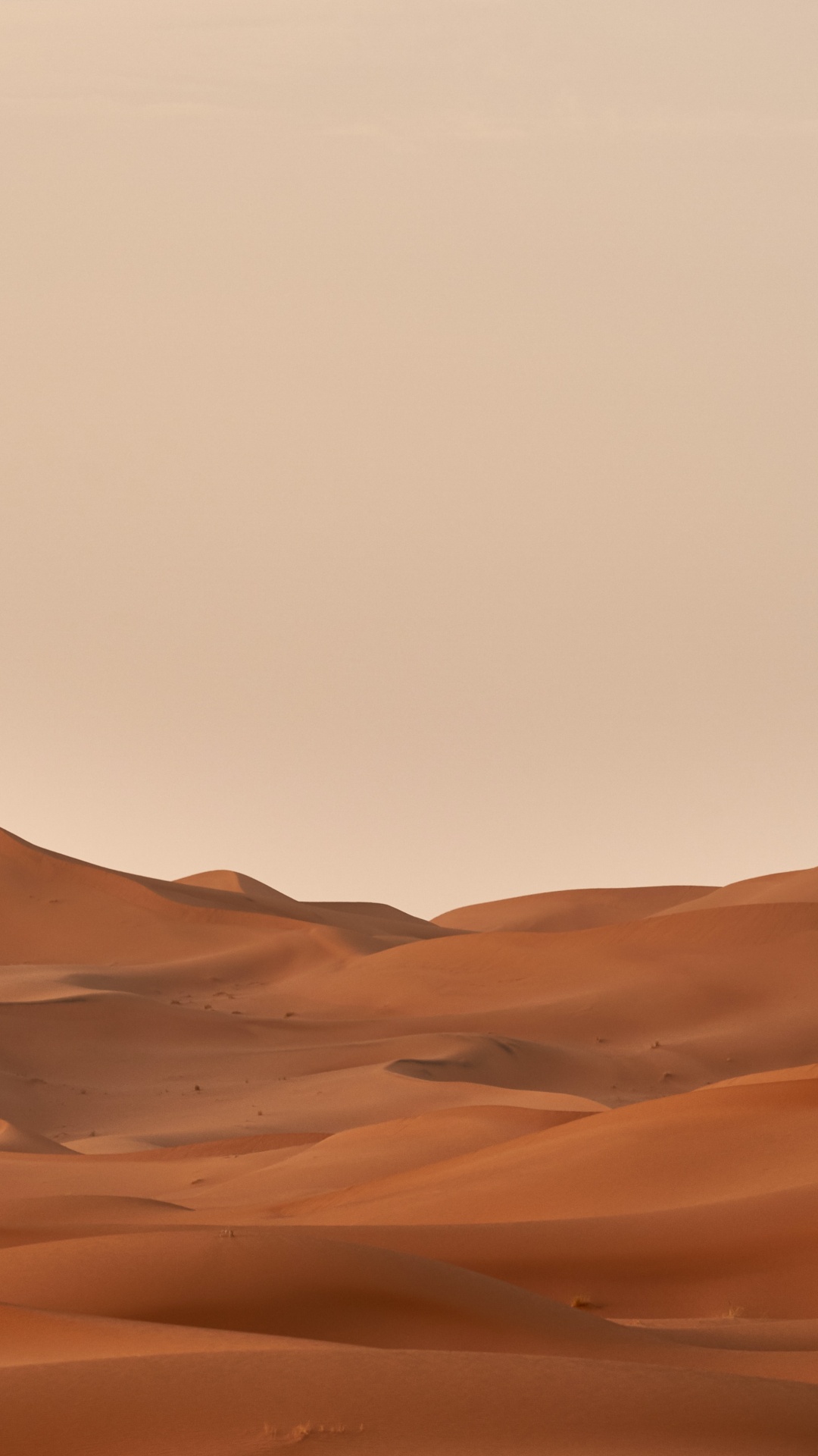 Wolfgang Hasselmann, Brown, Natural Landscape, Erg, Landscape. Wallpaper in 1080x1920 Resolution