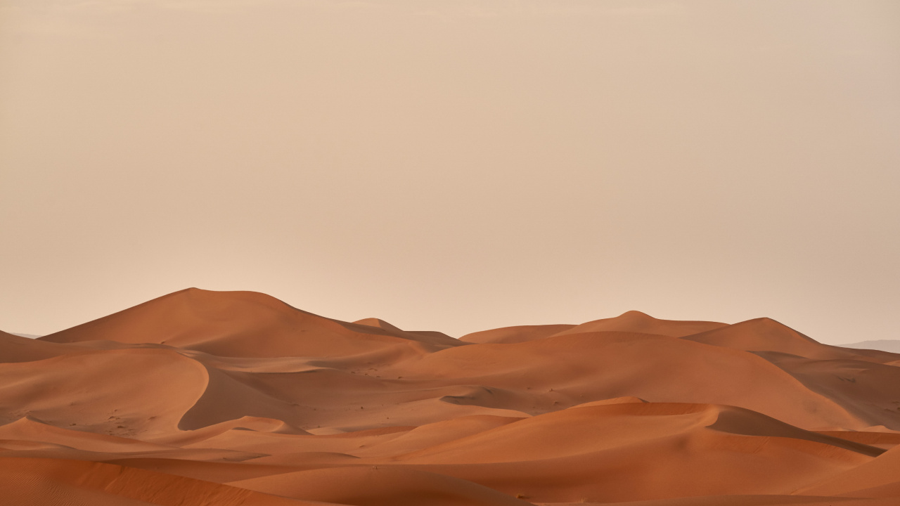 Wolfgang Hasselmann, Brown, Natural Landscape, Erg, Landscape. Wallpaper in 1280x720 Resolution