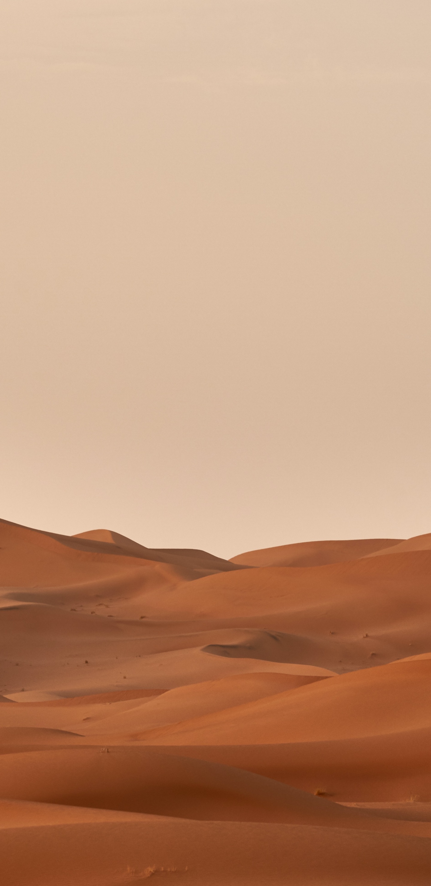 Wolfgang Hasselmann, Brown, Natural Landscape, Erg, Landscape. Wallpaper in 1440x2960 Resolution