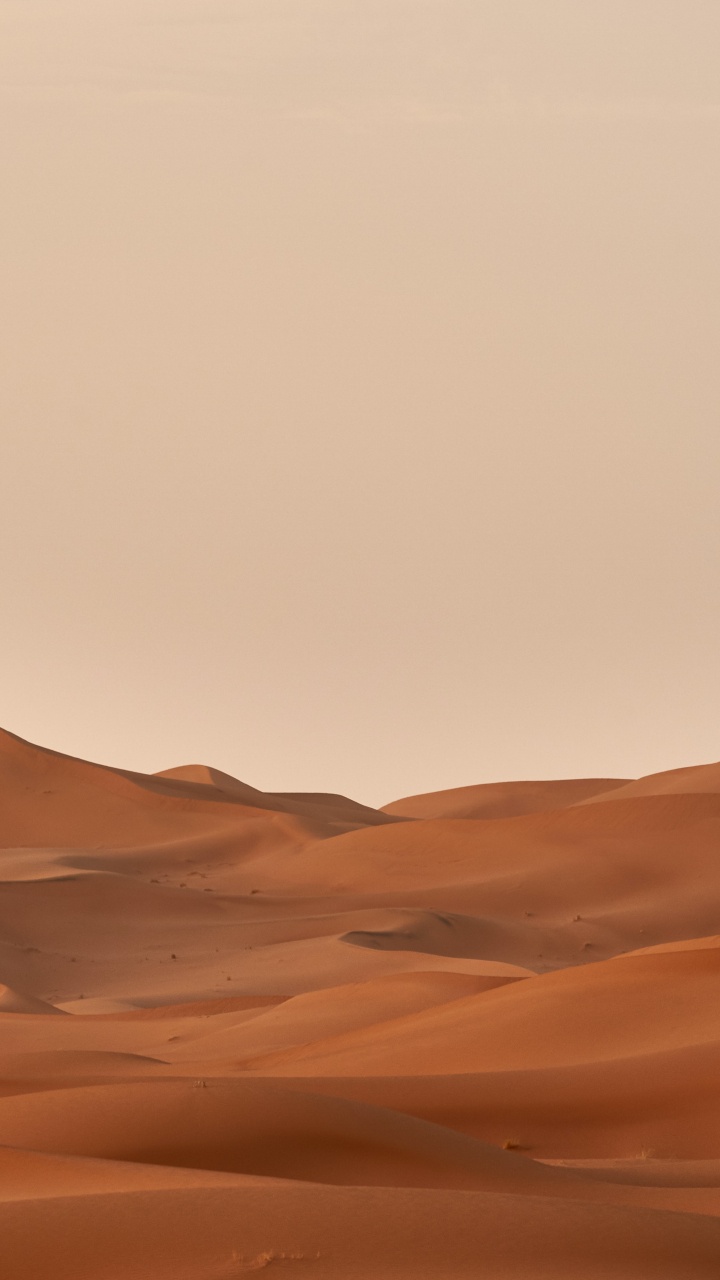 Wolfgang Hasselmann, Brown, Naturlandschaft, Erg, Horizont. Wallpaper in 720x1280 Resolution